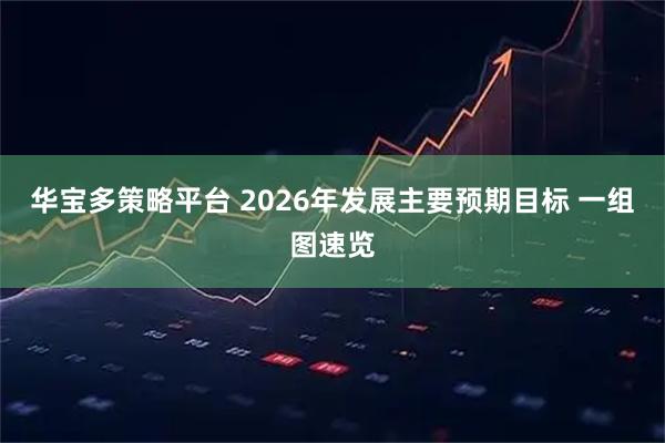 华宝多策略平台 2026年发展主要预期目标 一组图速览